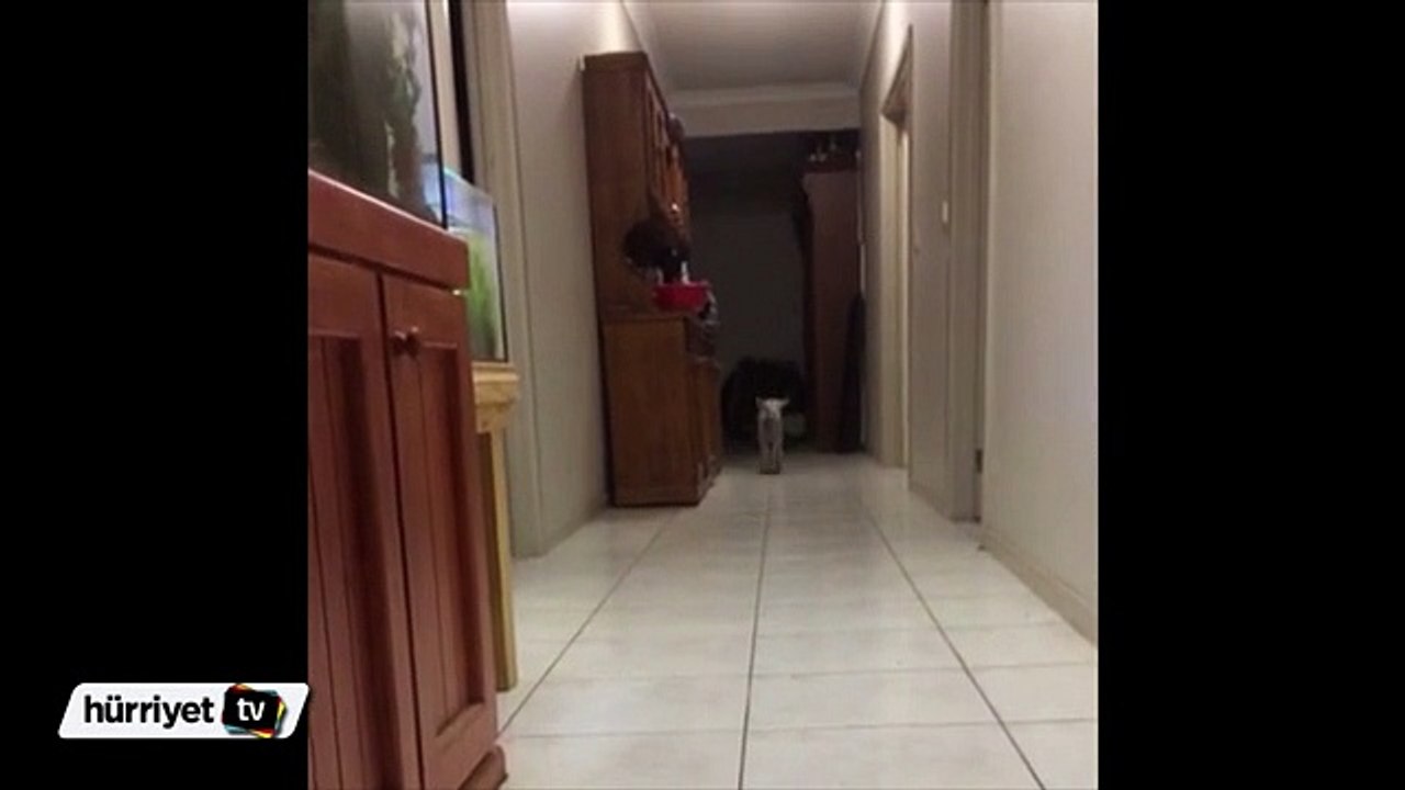 Winter’ın eğlenceli hayatı