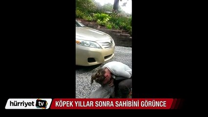 Sahibini 2 yıl sonra gören köpeğin büyük sevinci