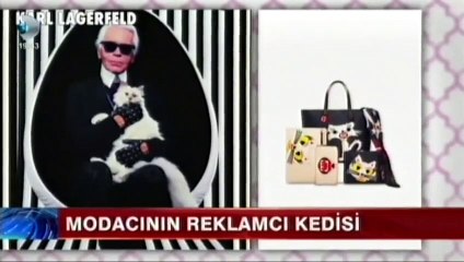 Karl Lagerfeld'in kedisi yılda 9 milyon dolar kazanıyor