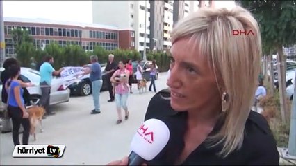 Lüks sitede kedi savaşı