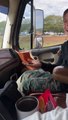 Son Loses Pet Cockroach on Road Trip