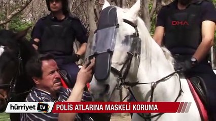 Polis atlarına kask