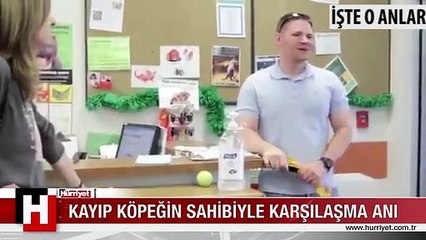 7 aydır kayıp köpeğin sahibiyle karşılaşma anı