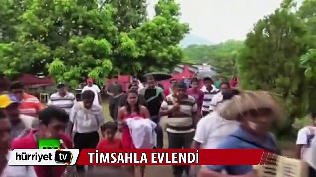 Belediye Başkanı timsah yavrusuyla evlendi