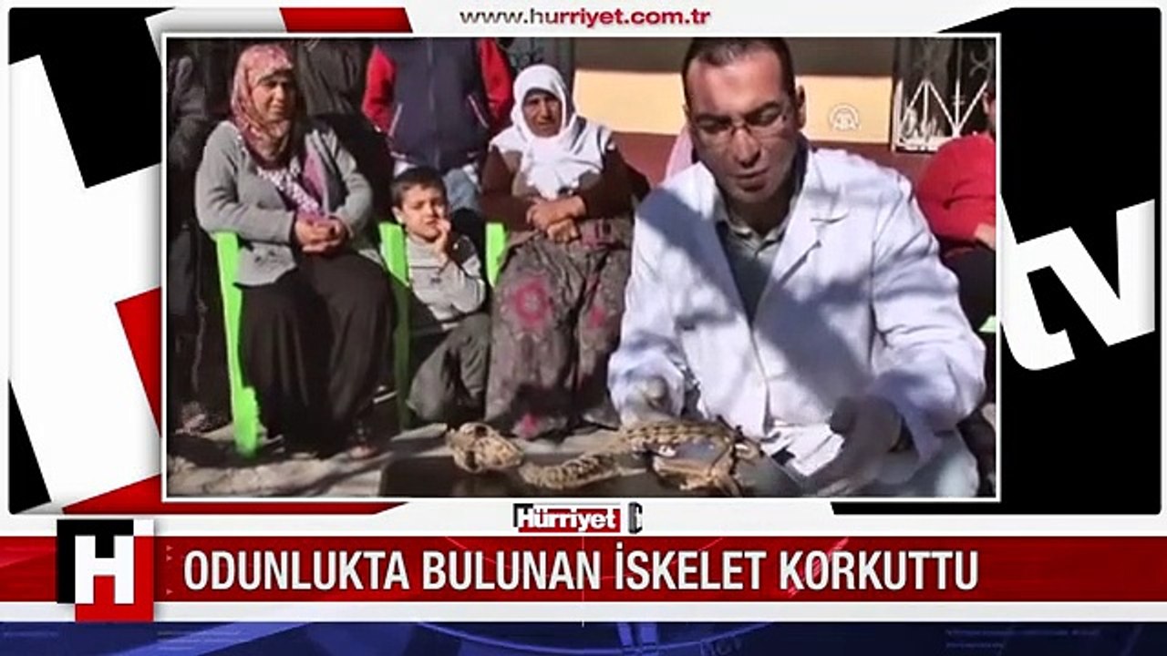ODUNLUKTA BULUNAN ESRARENGİZ YARATIK İSKELETİ KORKUTTU