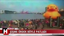 18 METRELİK DEV ŞİŞME ÖRDEK BÖYLE PATLADI