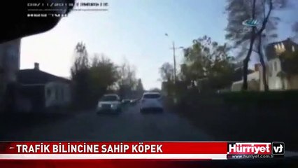 RUSYA'DA MUTLU SONLA BİTEN OLAY