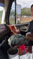 Son Loses Pet Cockroach on Road Trip