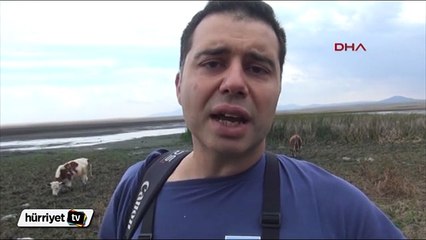 Kuş cennetinden çok kötü haber