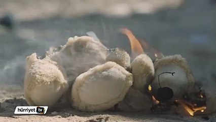 'Suriye'de olanları geri çevirmek mümkün mü?'