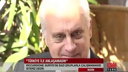 Ricciardone: Türkiye'ye 'El Nusra'ya yardım etmeyin' dedik ama...