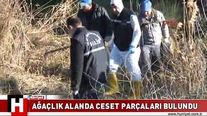 PENDİK'TE VAHŞET..!! BİR KADIN ORMANDA BU HALDE BULUNDU