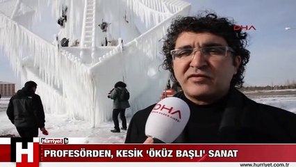 PROFESÖRDEN, KESİK 'ÖKÜZ BAŞLI' SANAT