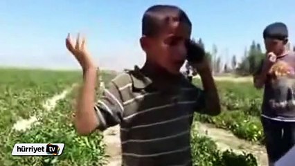 Küçük çocuğun sevdiği kız için vaatleri güldürdü