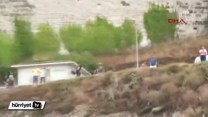 Sinop'ta yunus kıyıya vurarak intihar etti