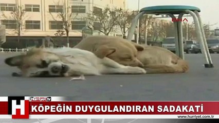 EKSİ 14 DERECE SOĞUĞA ALDIRIŞ BİLE ETMEDİ..!!