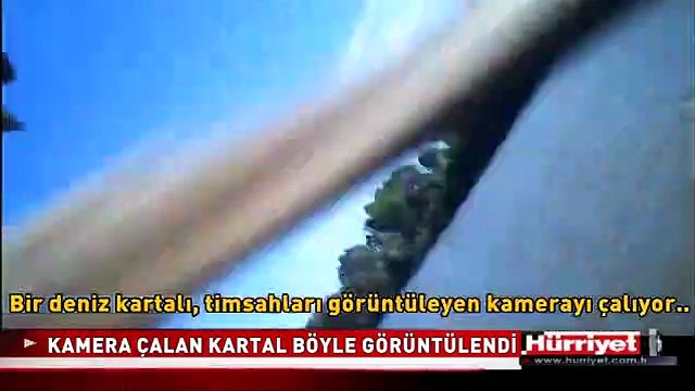 KARTAL KOCA KAMERAYI BÖYLE KAPTI