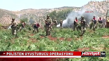 POLİS VE JANDARMADAN BÜYÜK UYUŞTURUCU OPERASYONU