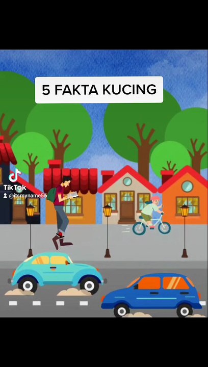 5 about cat do you know?