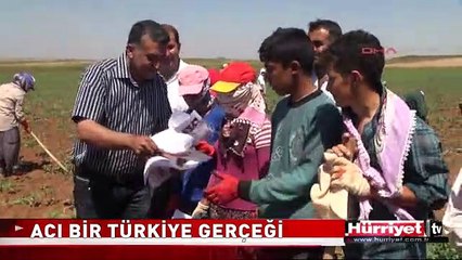 ACI BİR TÜRKİYE GERÇEĞİ