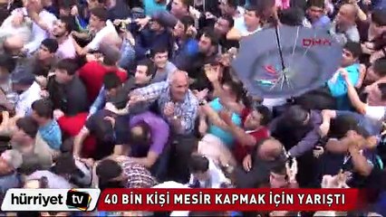 40 bin kişi mesir kapmak için yarıştı
