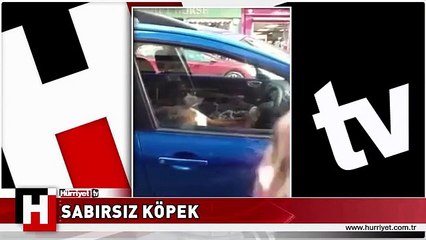 SABIRSIZ KÖPEK SAHİBİNİ BEKLEYEMEDİ