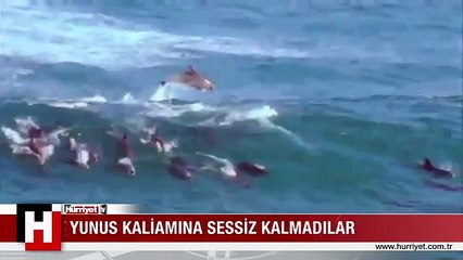 SANATÇILAR YUNUS KATLİAMINA SESSİZ KALMADI