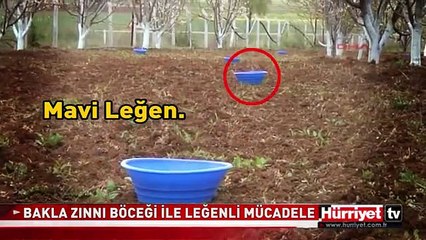 BUNU YEMİŞ, BUNU YEMEMİŞ