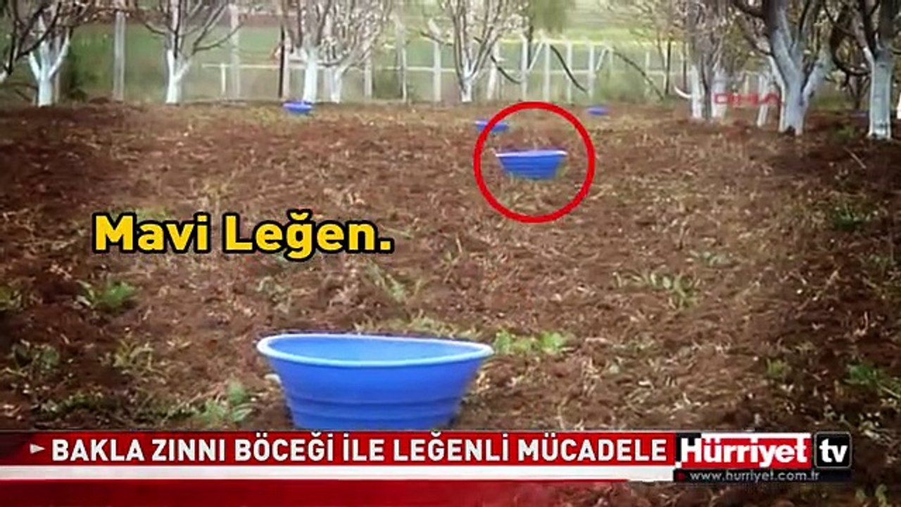 BUNU YEMİŞ, BUNU YEMEMİŞ