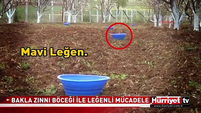 BUNU YEMİŞ, BUNU YEMEMİŞ