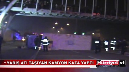 YARIŞ ATI TAŞIYAN KAMYON KAZA YAPTI