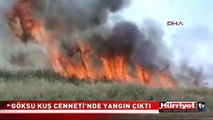 GÖKSU KUŞ CENNETİ'NDE YANGIN ÇIKTI