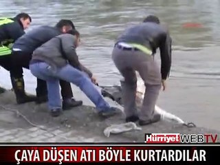 ÇAYA DÜŞEN ATI BÖYLE KURTARDILAR