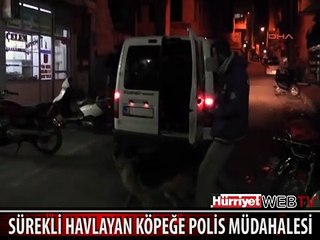 GAZİANTEP'TE SÜREKLİ HAVLAYAN KÖPEĞE POLİS MÜDAHALESİ