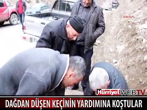 DAĞDAN DÜŞEN KEÇİNİN YARDIMINA KOŞTULAR