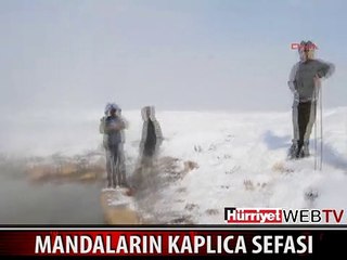 BU ÇOCUĞUN ARKADASINDA OLUP BİTENLERE İNANAMAYACAKSINIZ