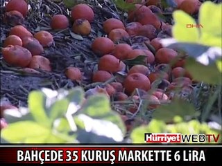 BİR TÜRKİYE GERÇEĞİ! ADANA'DA 35 KURUŞ, ŞEHİRDE 6 LİRA