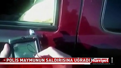 POLİSİN ÖDÜ KOPTU! SANİYELER SONRA BAKIN NE OLDU