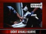 DÖRT AYAKLI KURYE