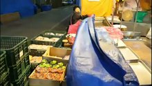 Korean street food #1