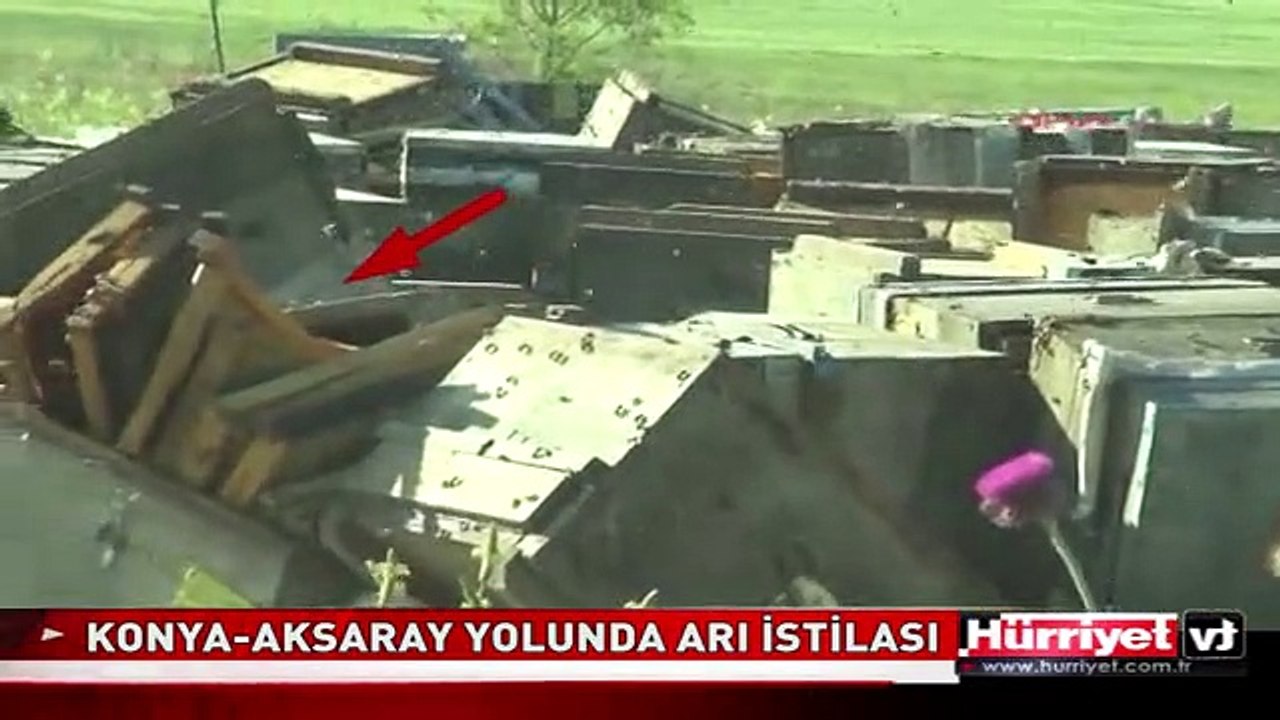 OTOYOLDA ARI DEHŞETİ