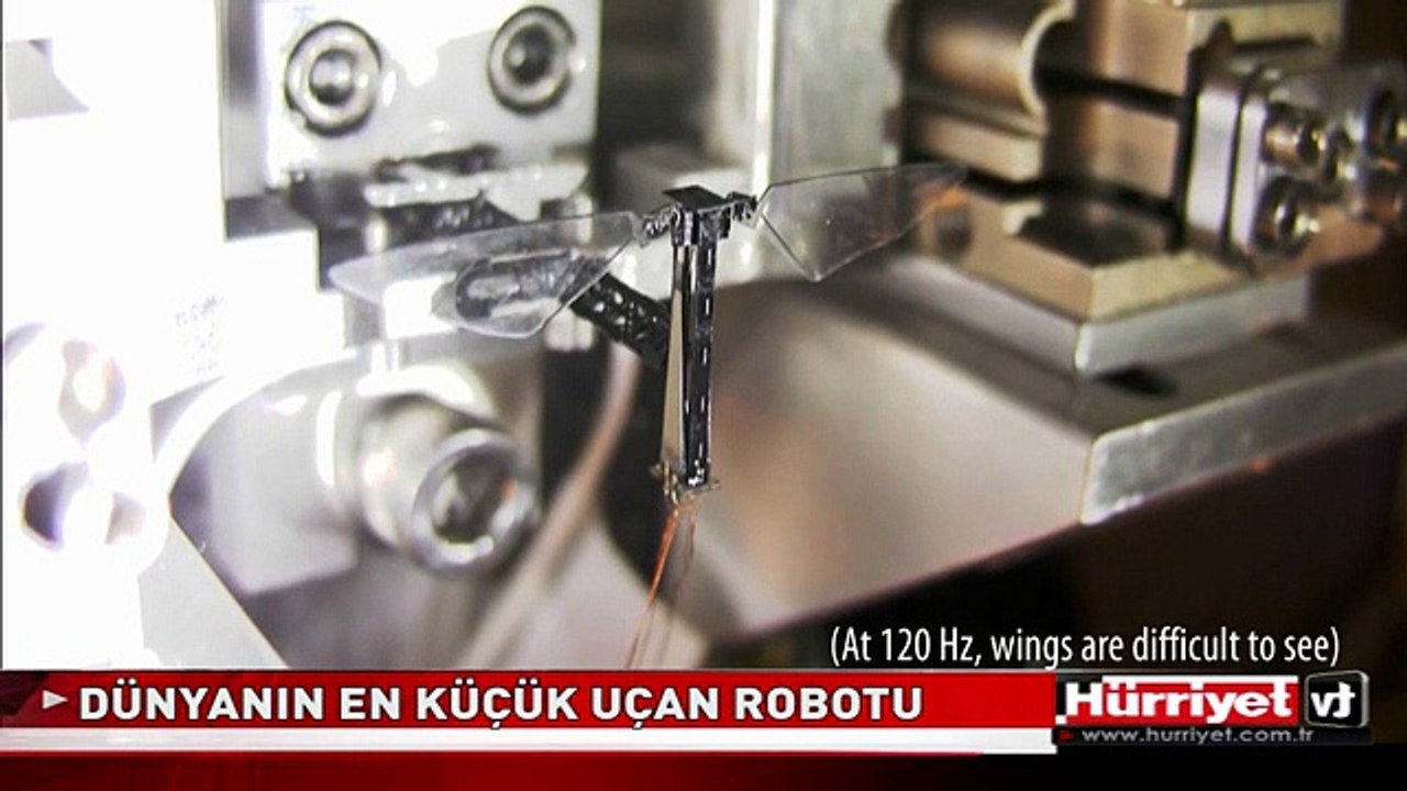 BOZUK PARA BOYUNDA ROBOT YAPTILAR