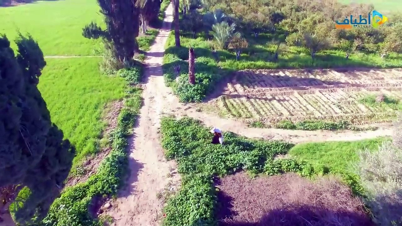 شاهد جمال غزة بعيداً عن الدمار مشاهد تصويرية رائعة التقطت بالطائرة - Regardez la beauté de Gaza loin de la destruction, de magnifiques scènes photographiques prises en avion