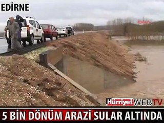 EDİRNE'DE 5 BİN DÖNÜM ARAZİ SULAR ALTINDA KALDI