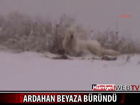 ARDAHAN BEYAZA BÜRÜNDÜ