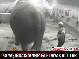 İNGİLTERE'Yİ AYAĞA KALDIRAN GÖRÜNTÜLER