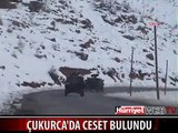 ÇUKURCA'DA BİR PKK'LIYA AİT CESET BULUNDU