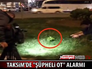 TAKSİM MEYDANI'NDA HİNT KENEVİRİ ALARMI