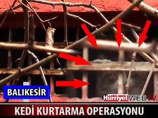 'TEKİR' BİR HAFTA SONRA ÖZGÜRLÜĞÜNE KAVUŞTU