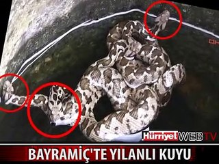 Video herunterladen: KİMSE BU OLAYA ANLAM VEREMEDİ